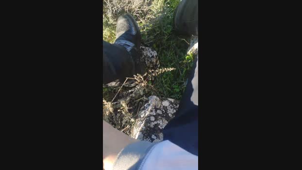 polli_play 24-12-2023 Recorded Video blowjob