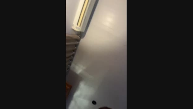gatogaroto3 24-12-2023 Recorded Video lick