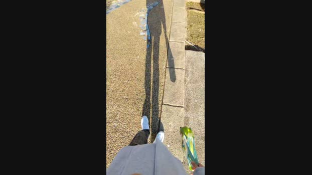 weimeixi 25-12-2023 Recorded Video squirt