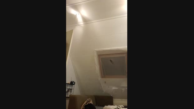 HornyPornyGuy 25-12-2023 Recorded Video playtime