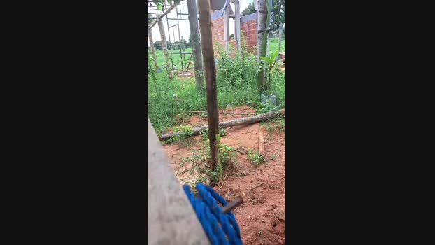 Ribeirosiebes 28-12-2023 Recorded Video playtime