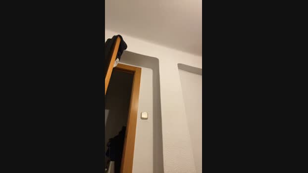 charlye_ink 28-12-2023 Recorded Video lush