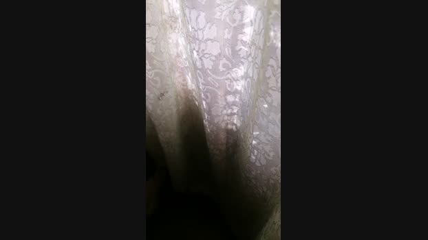 Toylocasoxx03 29-12-2023 Recorded Video bigcock