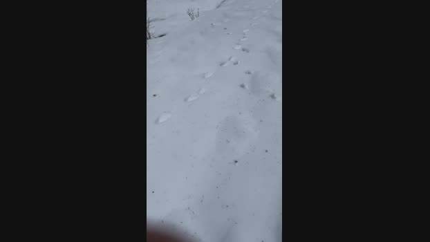 lecta 29-12-2023 Recorded Video kink