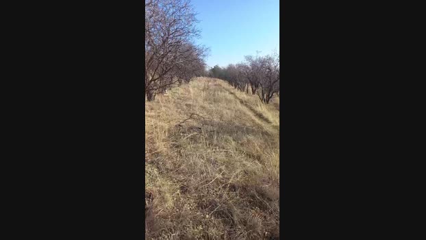 sikici20 29-12-2023 Recorded Video bigtoys