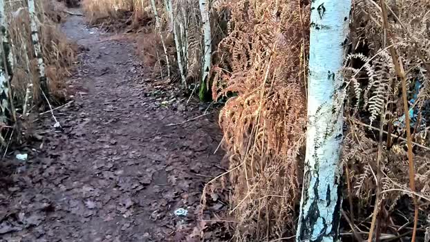 Cuni40 30-12-2023 Recorded Video sweet