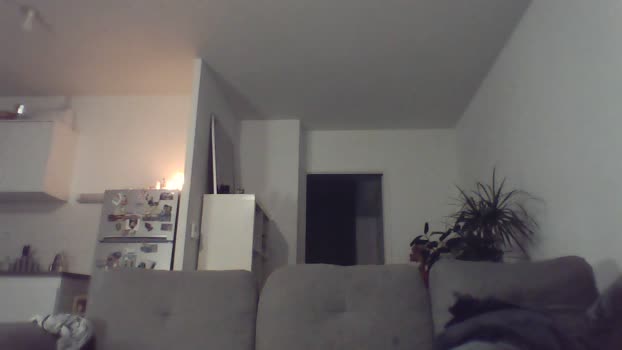 rayadrian 29-12-2023 Recorded Video yummy