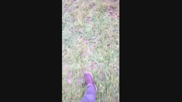 DePamplona 31-12-2023 Recorded Video Ass