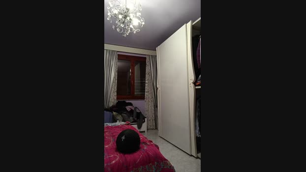 ILDIRETTOREX 30-12-2023 Recorded Video handsome