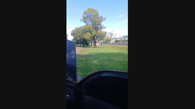pasiva24 31-12-2023 Recorded Video yummy