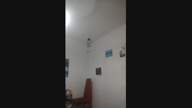 yomismo64 31-12-2023 Recorded Video show