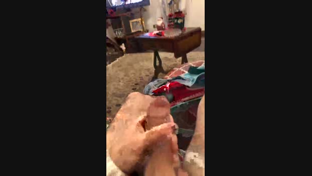 Alessio2493 01-01-2024 Recorded Video lovense