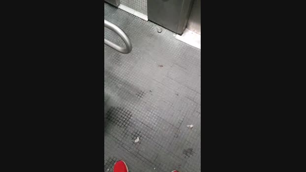 DePamplona 01-01-2024 Recorded Video amateur