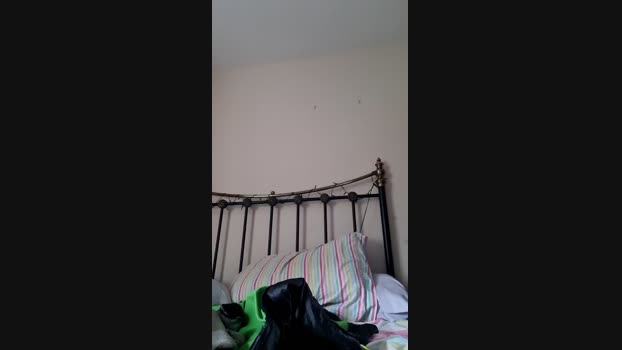 hunghairy_xxx 03-01-2024 Recorded Video prettyface
