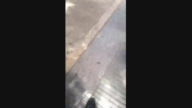 gabriel4575 04-01-2024 Recorded Video Show