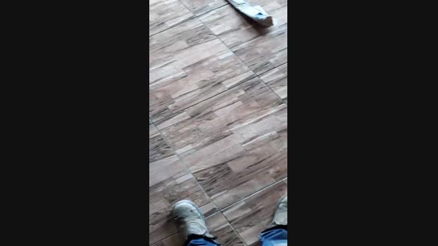 pochatts 03-01-2024 Recorded Video cute