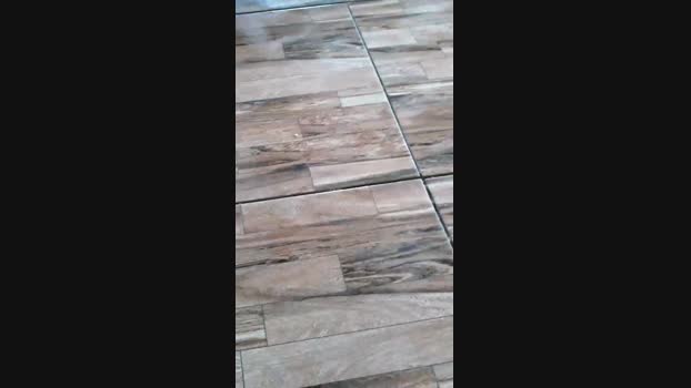 pochatts 03-01-2024 Recorded Video Download