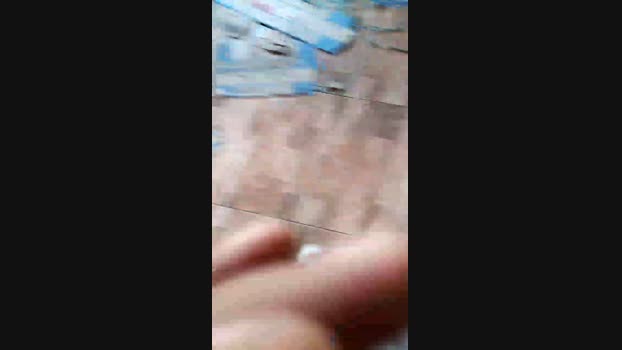 pochatts 04-01-2024 Recorded Video bigload
