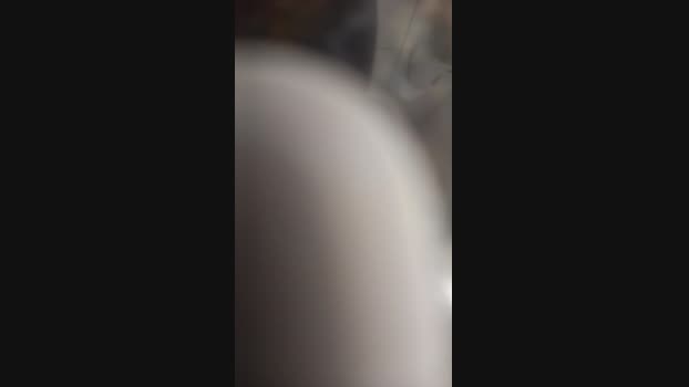 robertlaba 03-01-2024 Recorded Video hard