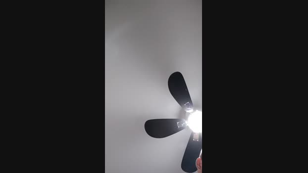 rompecalzoncil2 03-01-2024 Recorded Video big