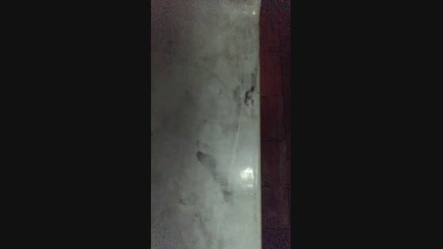 021_alves 04-01-2024 Recorded Video harddick