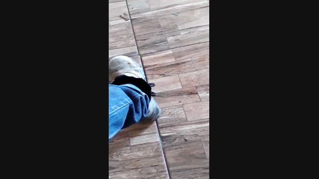 pochatts 04-01-2024 Recorded Video play