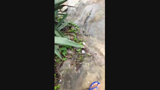 recoblue22cm 05-01-2024 Recorded Video bigass