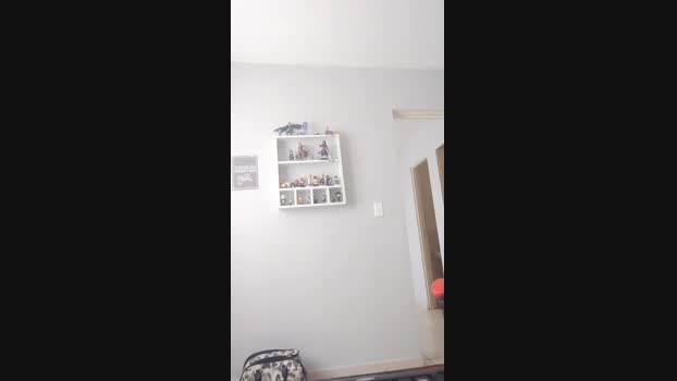 Gamer_Lol 08-01-2024 Recorded Video spank