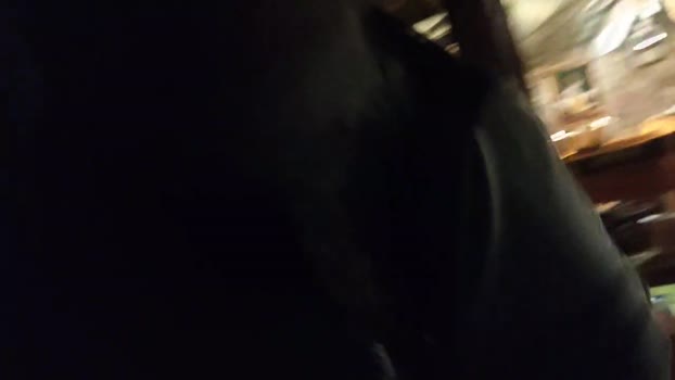 lepamplemous 07-01-2024 Recorded Video bigcock