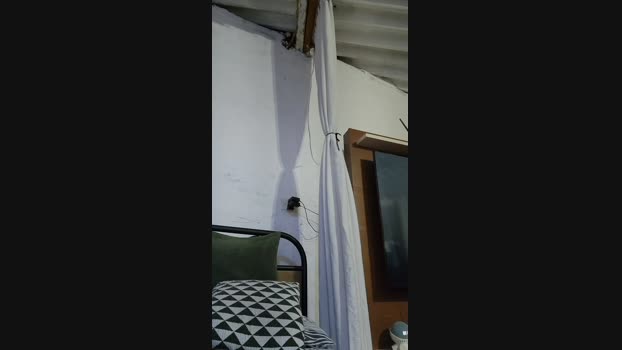 tielmendezlopez 08-01-2024 Recorded Video analtoy