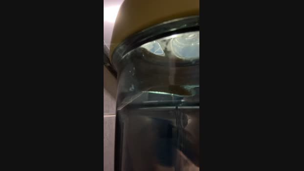 Hamburger1069 11-01-2024 Recorded Video skinny