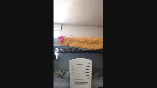 Picar0 11-01-2024 Recorded Video kissing