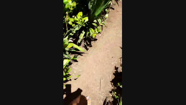 recoblue22cm 11-01-2024 Recorded Video play