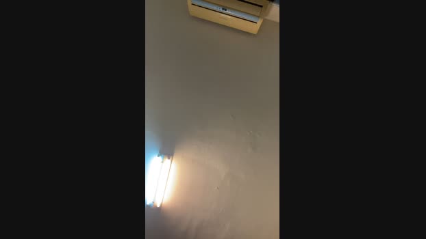 Foxfoxfox 12-01-2024 Recorded Video bigass