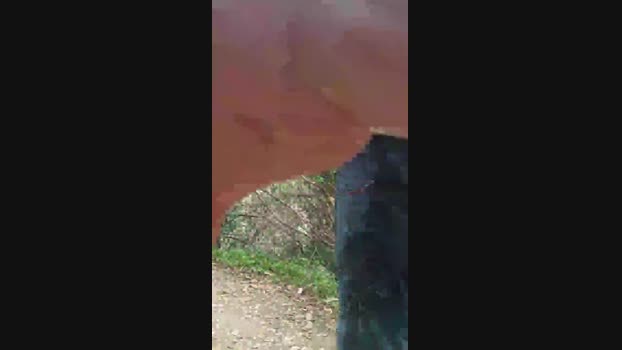 Wildboy2077x 12-01-2024 Recorded Video natural