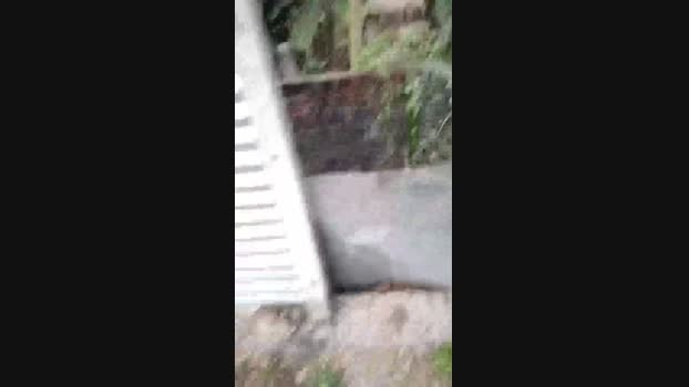 chiranjitho1 14-01-2024 Recorded Video blowjob