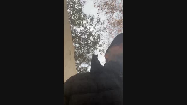 charlye_ink 14-01-2024 Recorded Video natural