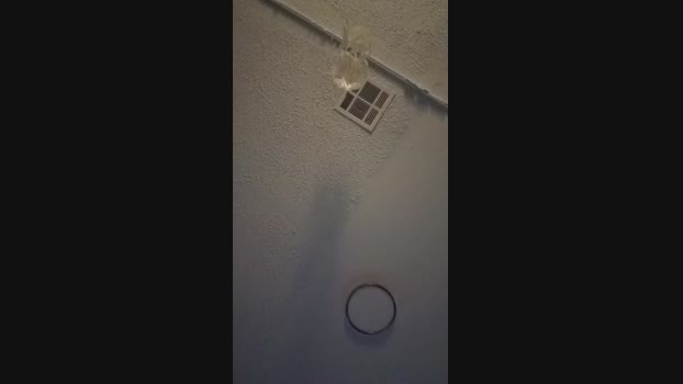 DatRyanGuy92 15-01-2024 Recorded Video moan