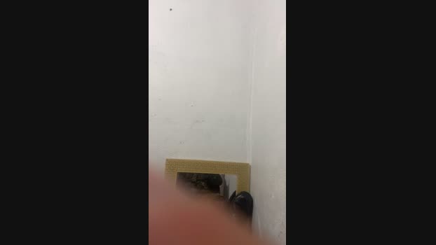 Milicodick 16-01-2024 Recorded Video naughty
