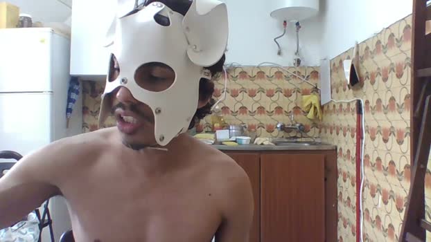 Rafafega 16-01-2024 Recorded Video toy