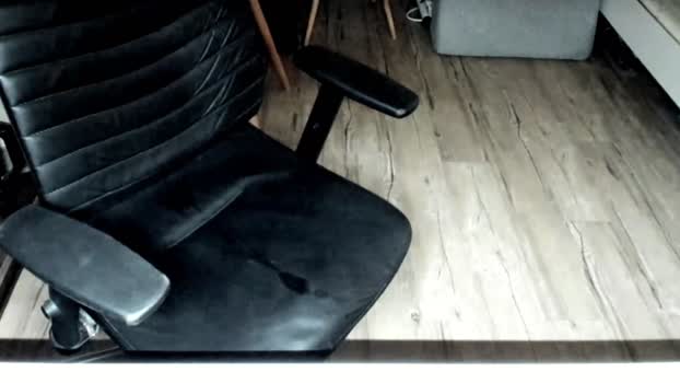 joexie 15-01-2024 Recorded Video toy