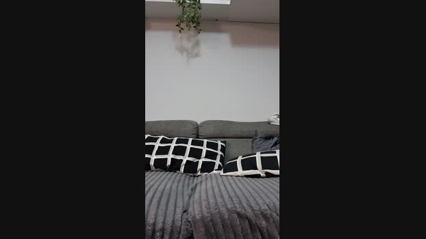 Gatinho_spain 17-01-2024 Recorded Video playtime