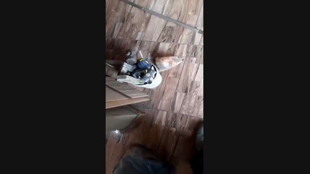 pochatts 17-01-2024 Recorded Video Show