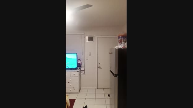 Edwind 18-01-2024 Recorded Video sexy
