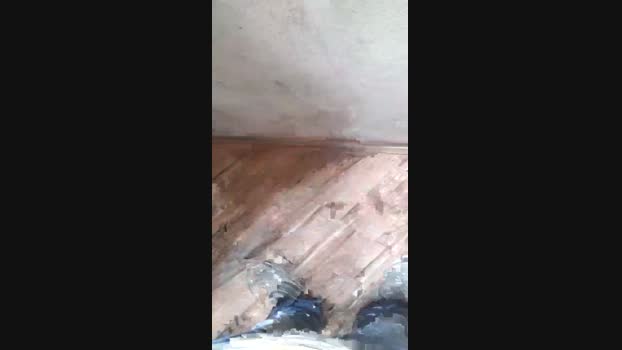 pochatts 18-01-2024 Recorded Video gay