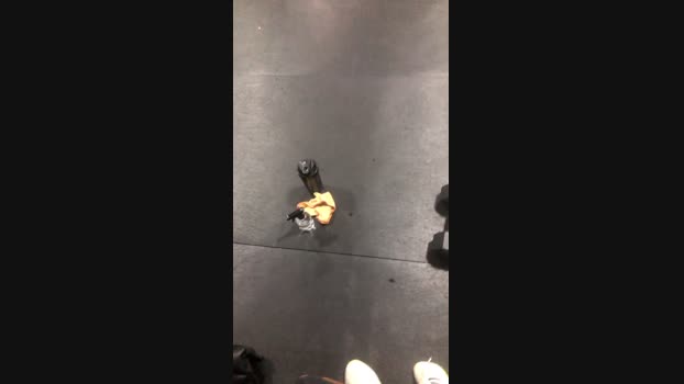 Cavalotoro 19-01-2024 Recorded Video fuckface