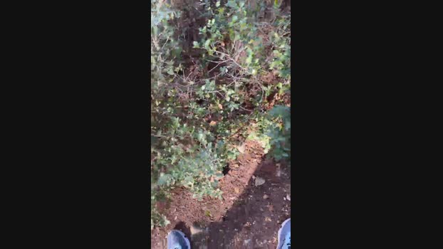 MATTEURURINOIR 20-01-2024 Recorded Video big