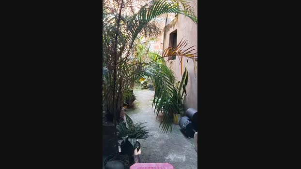 Sexylatinogay 19-01-2024 Recorded Video XXX