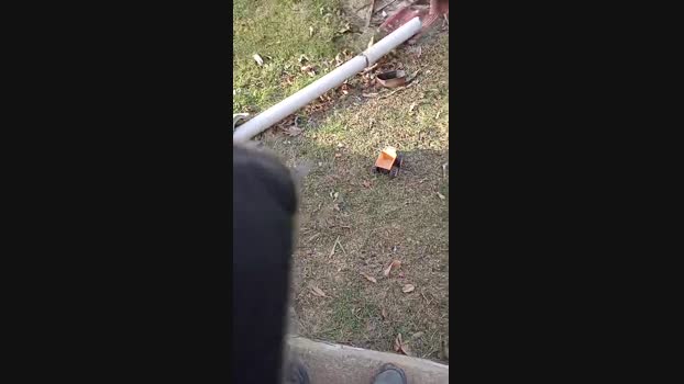 Norman_82 21-01-2024 Recorded Video deep