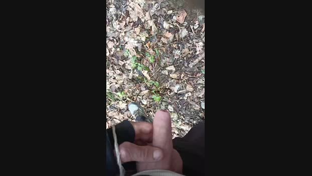 Norman_82 21-01-2024 Recorded Video handsome